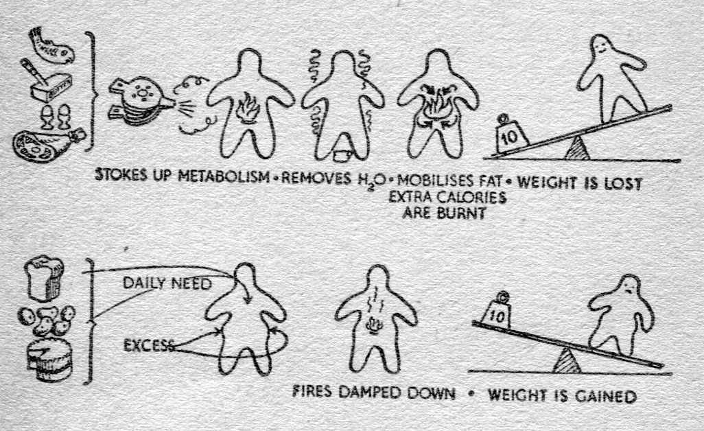 What happens when carbohydrate is eaten